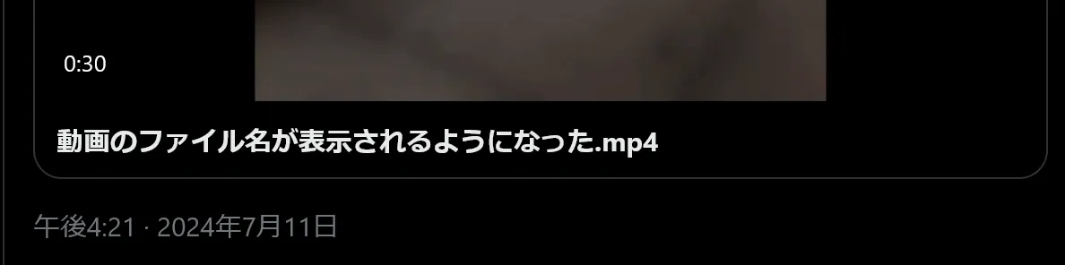 動画の下に表示されているファイル名のスクリーンショット。「動画のファイル名が表示されるようになった.mp4」と書かれている