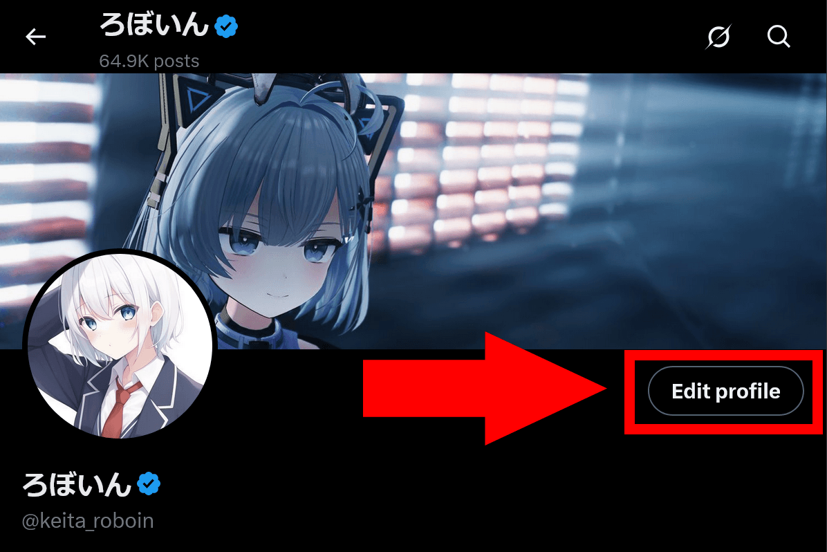 Screenshot of an X profile. A red border highlights the [Edit profile] button