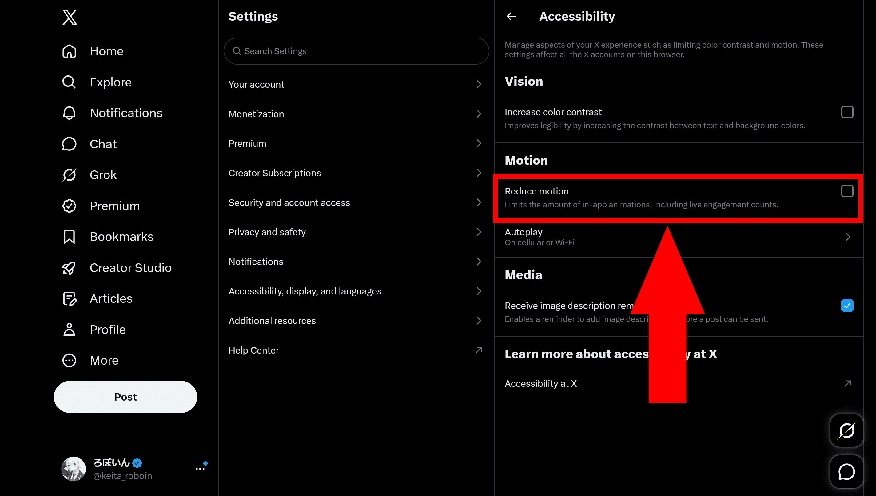 Screenshot of the [Accessibility] page in X settings. A red border highlights the setting labeled [Reduce motion] [Limits the amount of in-app animations, including live engagement counts.]